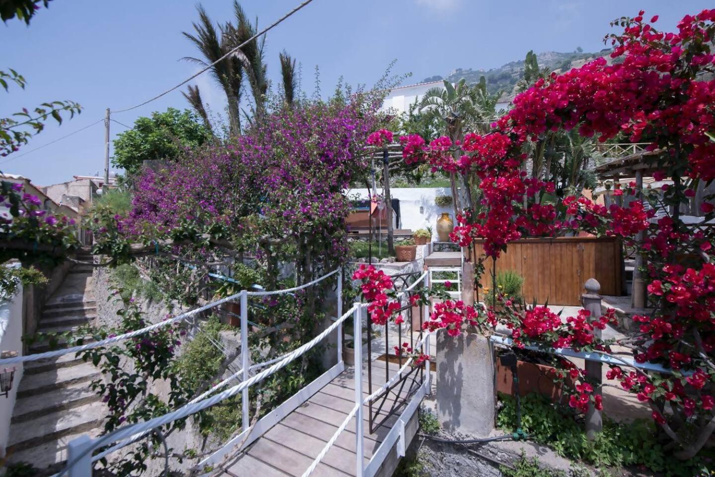 Perla Nel Blu Villa Affacciata Sul Mare Conca dei Marini Exterior photo